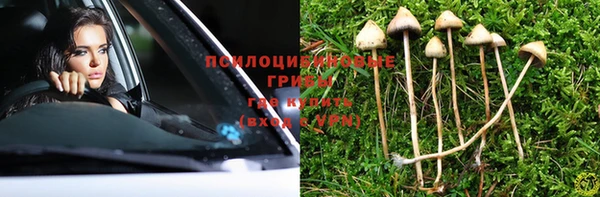 каннабис Алзамай