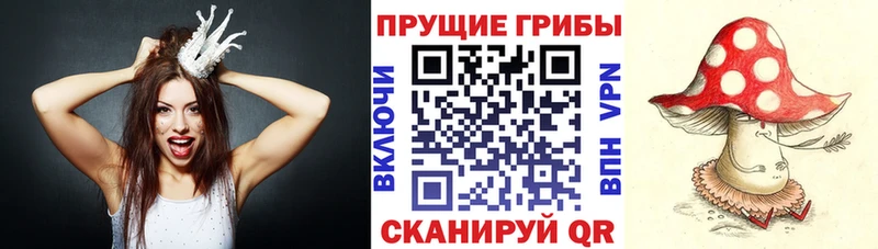 Псилоцибиновые грибы мицелий  сколько стоит  Заинск 