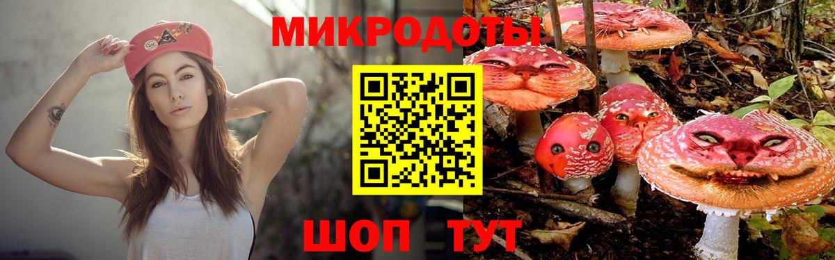 Галлюциногенные грибы Psilocybe Заинск