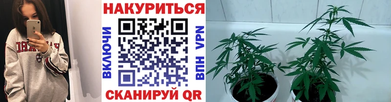 маркетплейс клад  даркнет сайт  Заинск  МАРИХУАНА гибрид 